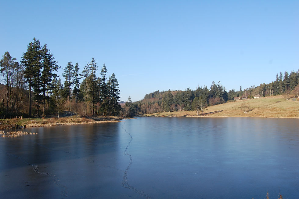Tumbelton Lake, Cragside