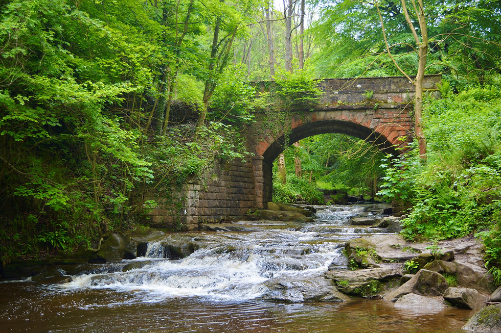 May Beck