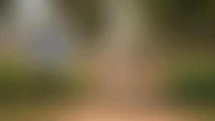 Are You Ready To Test your Readiness for an Environmental, Social and GBV Specialist Role in Nigeria?