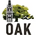 SHS-Oak-Tree-logo cropped.png