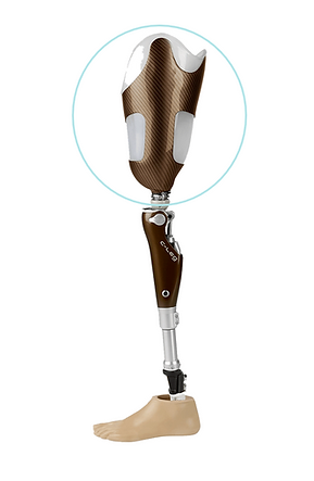Prosthetic socket on prosthetic leg