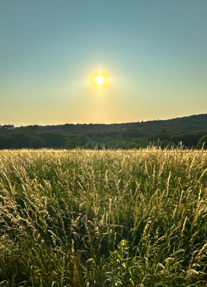 Grafton Sunset _edited.jpg