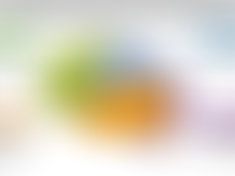 A brain that shows the possible locations of seizures and the corresponding symptoms