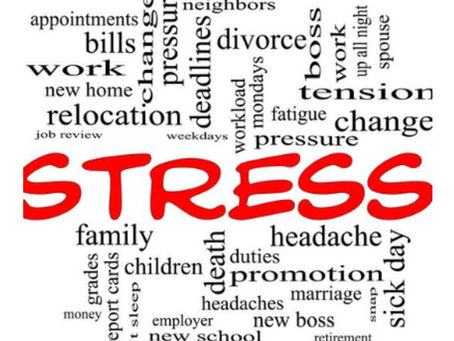 How Bach remedies help parents to reset their nervous system when kids get average score / marks in 10th grade board exams : Rakshaa Chhabriaa