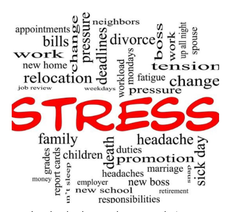 How Bach remedies help parents to reset their nervous system when kids get average score / marks in 10th grade board exams : Rakshaa Chhabriaa