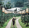 Asian Landscape