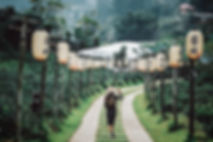 Asian Landscape