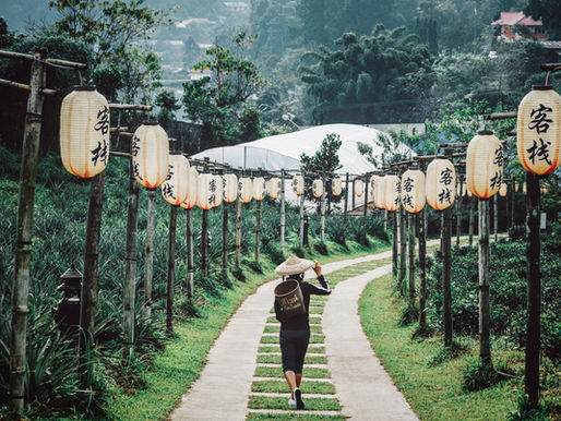 DISCOVERING RURAL ASIA