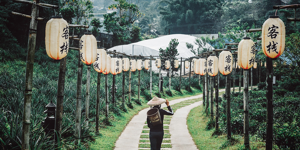 Light Your Path