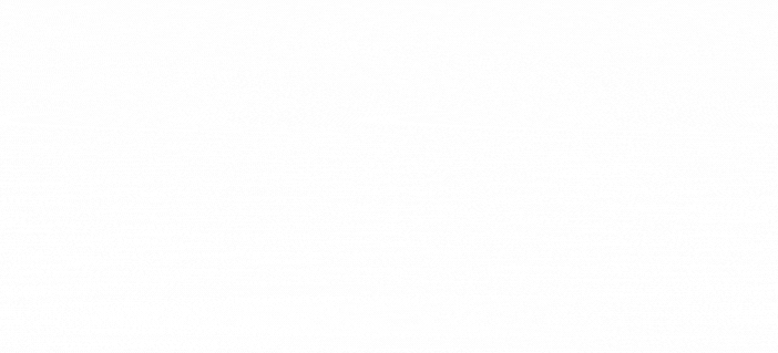 Application portfolio (3).gif