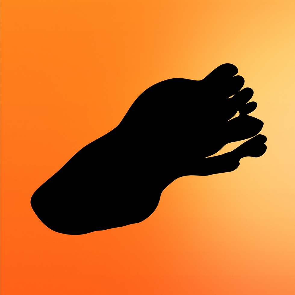 portfolio logo (4).png