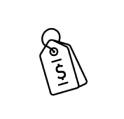Pricing Icon