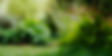 Empty-wooden-podium-1754616.jpg