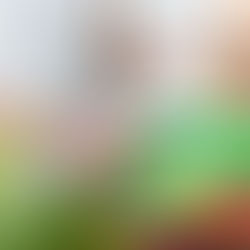 Compostagem doméstica