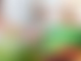 Compostagem doméstica