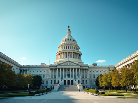 Elite Strategic Advisory Solutions for Government Clients