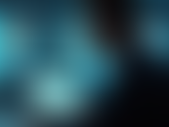 Professional Geopolitical Risk Management by Elite Operatives