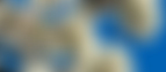 4月13日の練習
