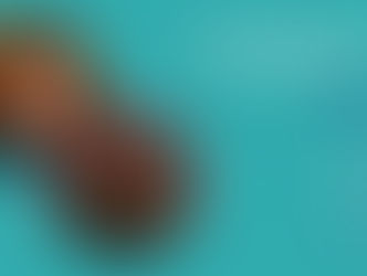 Private showcase for É.T.É at APAP