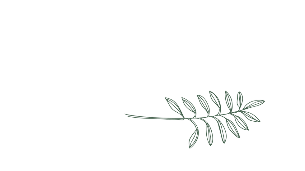 background_section_site_web_illustration_1920x1080_Plan de travail 1 copie.png