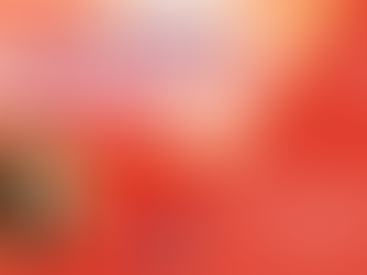 CONGRÈS | Noémie au Nordic Folk Alliance au Danemark