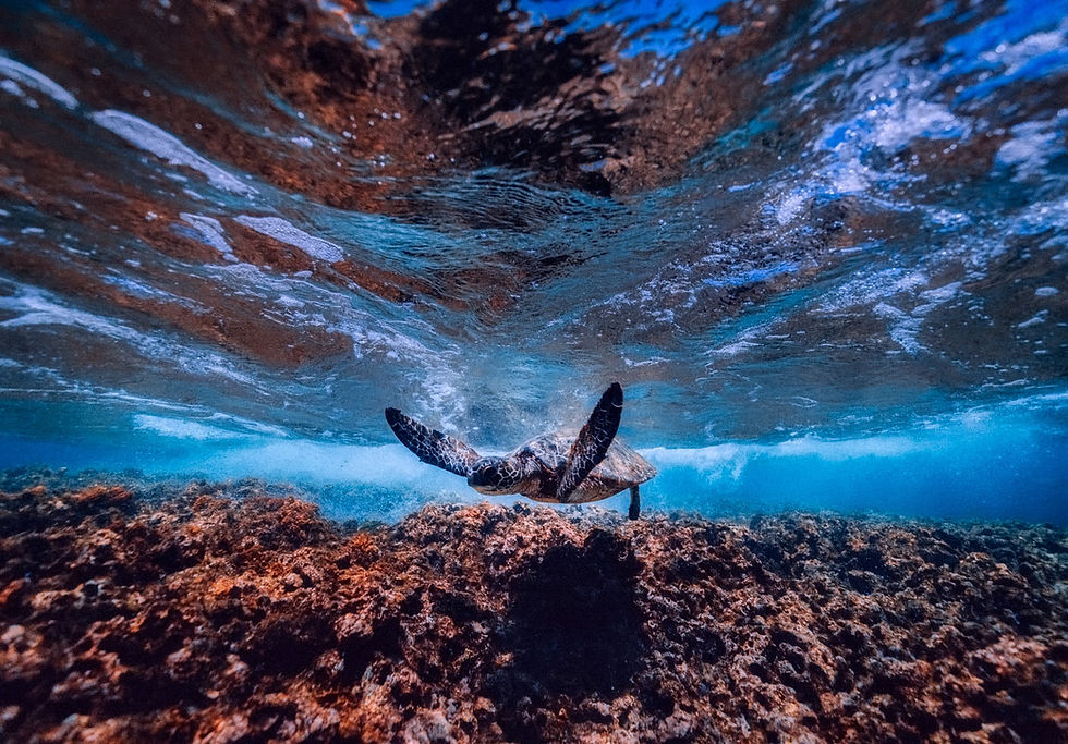 sea-2470908_1920.jpg