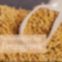 Fenugreek Instagram Post.png