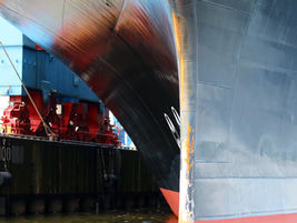 CPPS and IMO organize virtual regional workshop on biofouling management