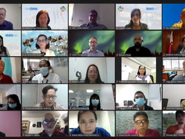Delivering global projects during a pandemic: sharing the experience
