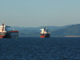 Panama joins GloFouling Project to tackle aquatic invasive species introduced by ships’ biofouling