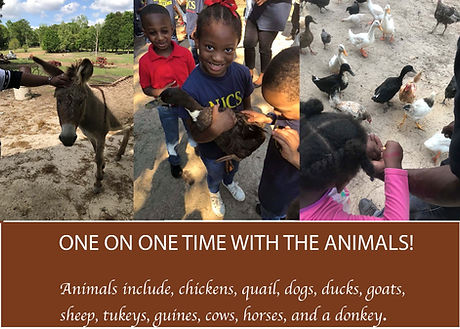 Kids petting animals.JPG