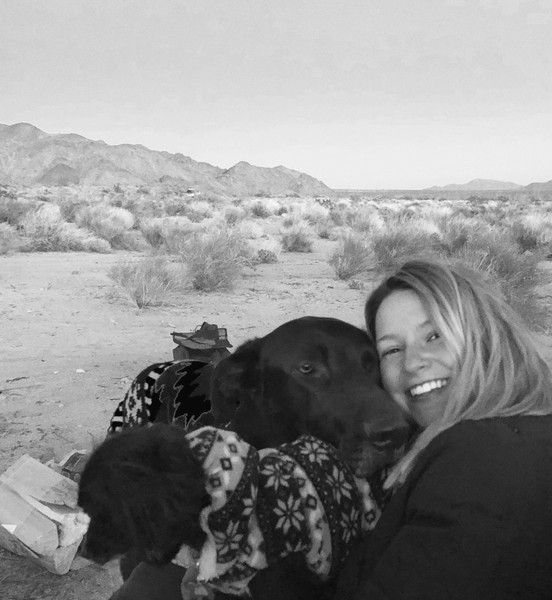 Home | Dog Ear Content