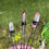 Thumbnail: Aura Quartz Crystal Wire Hair Pins Handwrapped