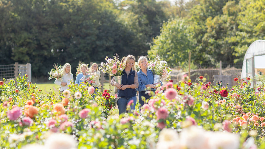 L-4936 (1)_edited.jpg