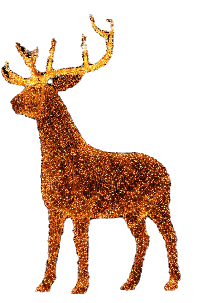 REINDEER_edited_edited.png