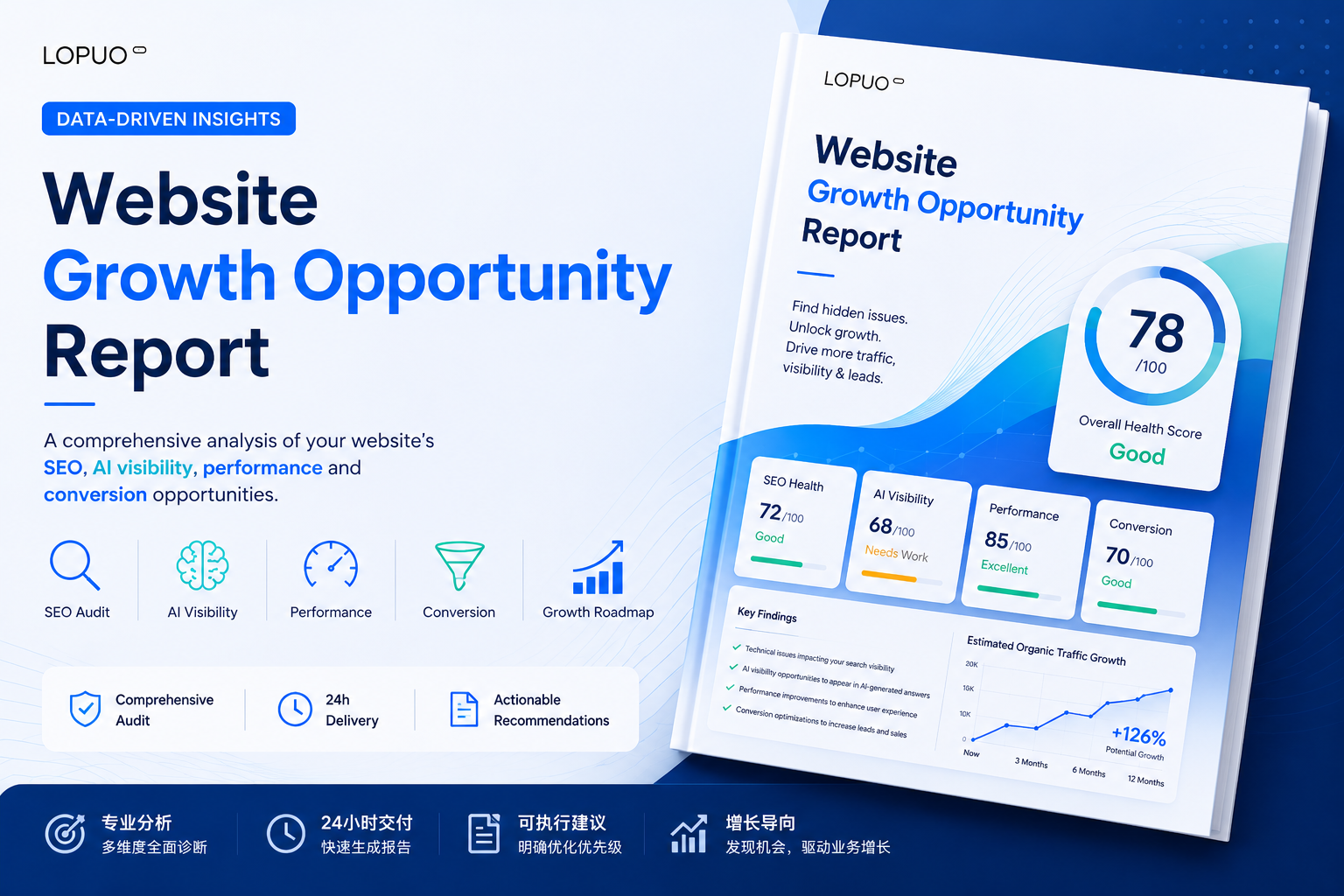 Website Growth Audit Report 网站增长诊断报告