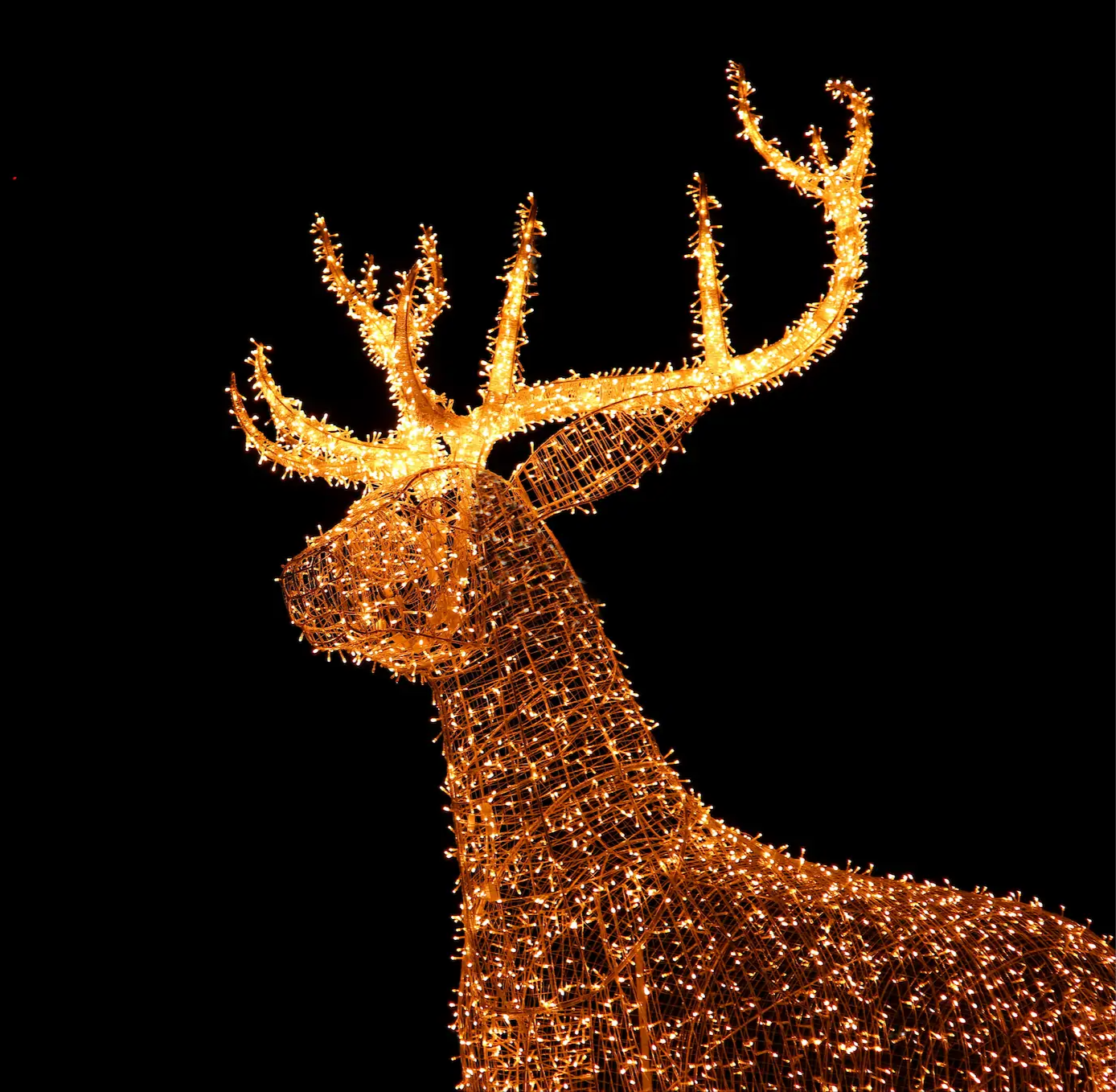 PM4Y3Bd原图 - 改 鹿是要的_edited.png