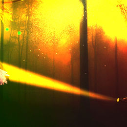 The 7 Rays Of Divine Light: Our Souls Quest 
