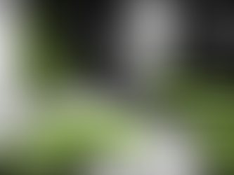 A szirének másik arca - A mélység közös tükre