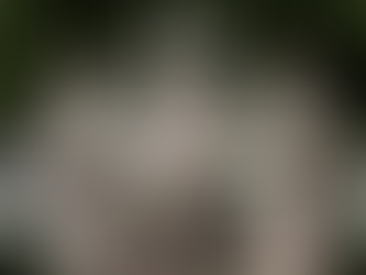 A nimfa nő archetípusa - Az érinthetetlen könnyedség