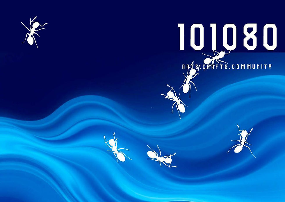 WhatsApp Image 2025-12-17 at 11.59.16.jpeg