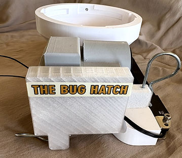 BugHatch03.jpg