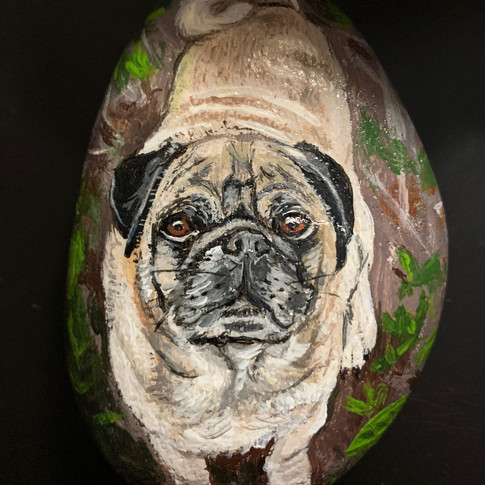 Roscoe.jpeg