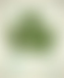 Express Entry Program Canada