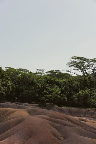 Paysage volcanique et végétation dense à l’Île Maurice, photographie de paysage naturel