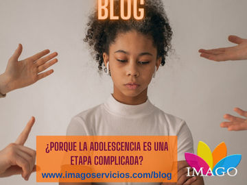 La crisis adolescente
