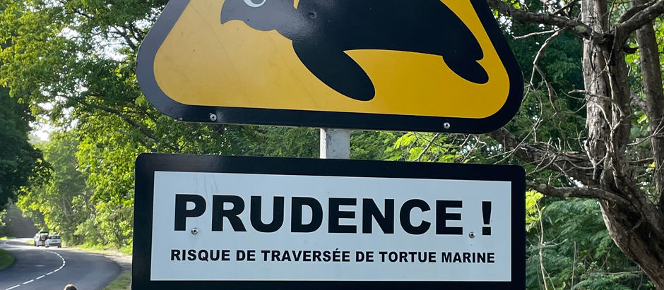 La Gwada, Marie-Galante et les Saintes