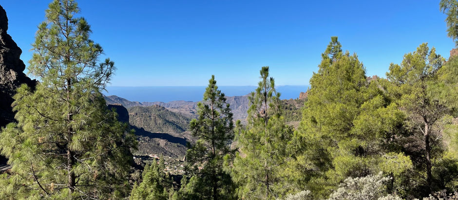 Gran Canaria, elle a tout d'une grande !