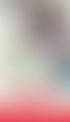 5° Congresso dei Giovani Italiani del Perù