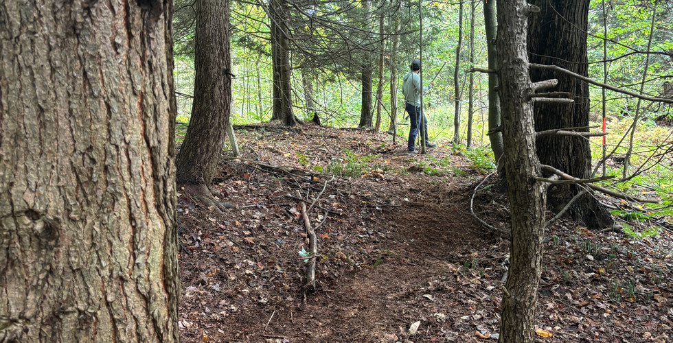 View of Floating Fen trail